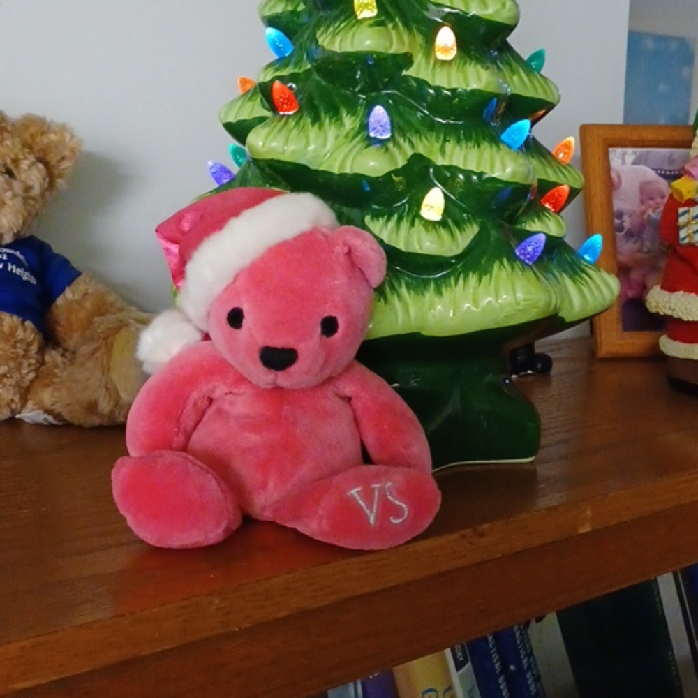 Limited edition VS pink 🧸